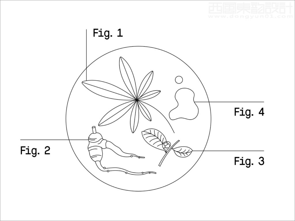 科學(xué)與自然完美融合的Healist保健品線稿插圖設(shè)計(jì)